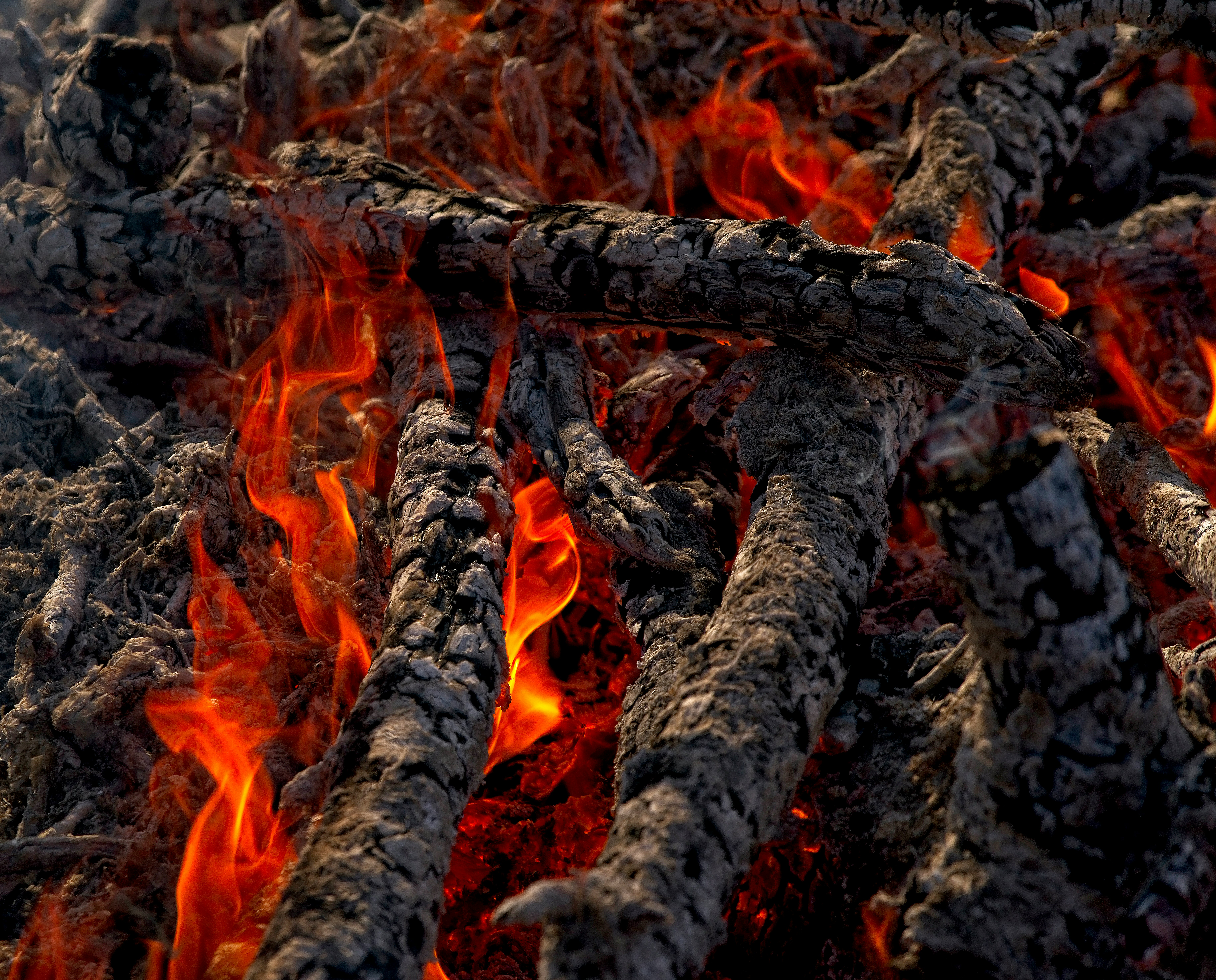 burning woods during night time